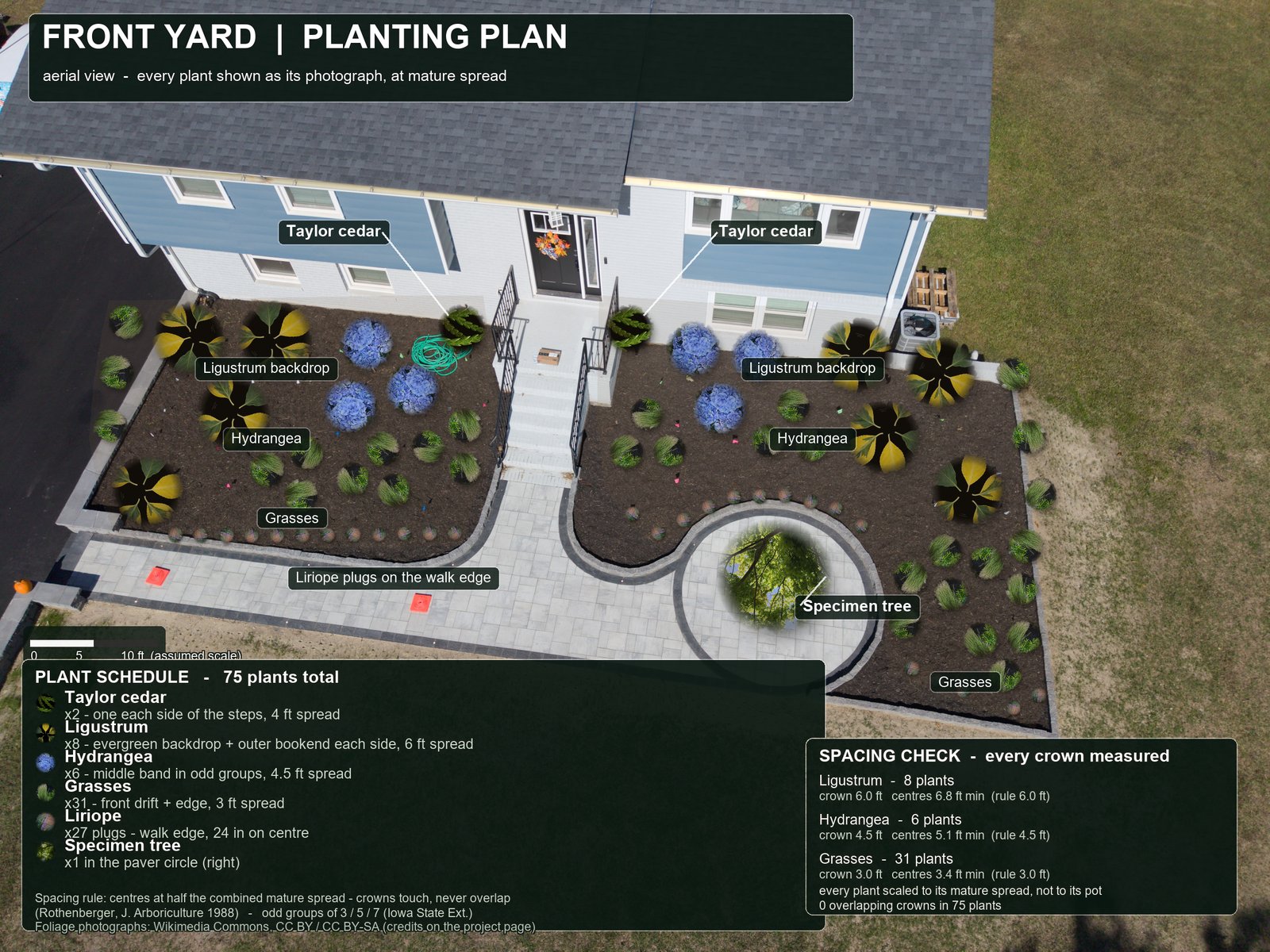 The planting plan in aerial view: each plant shown as a photographic foliage crown, scaled to its mature spread, with soft shadows, over the aerial photograph of the front yard.