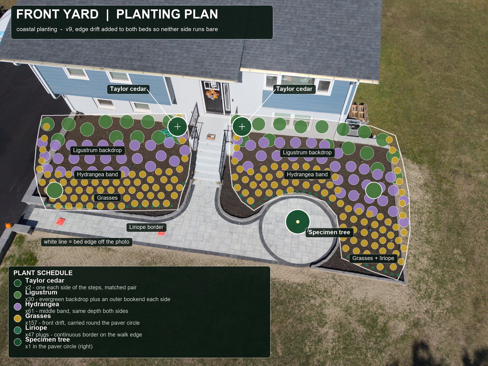 Earlier draft of the plan with 282 plant symbols packed tightly, with crowns overlapping.