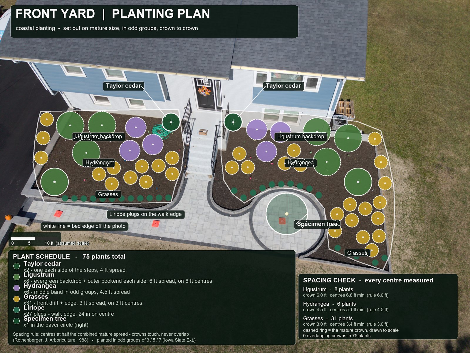 The plan with a dashed mature-crown circle around every shrub, plus a spacing check panel listing measured centre distances per species.